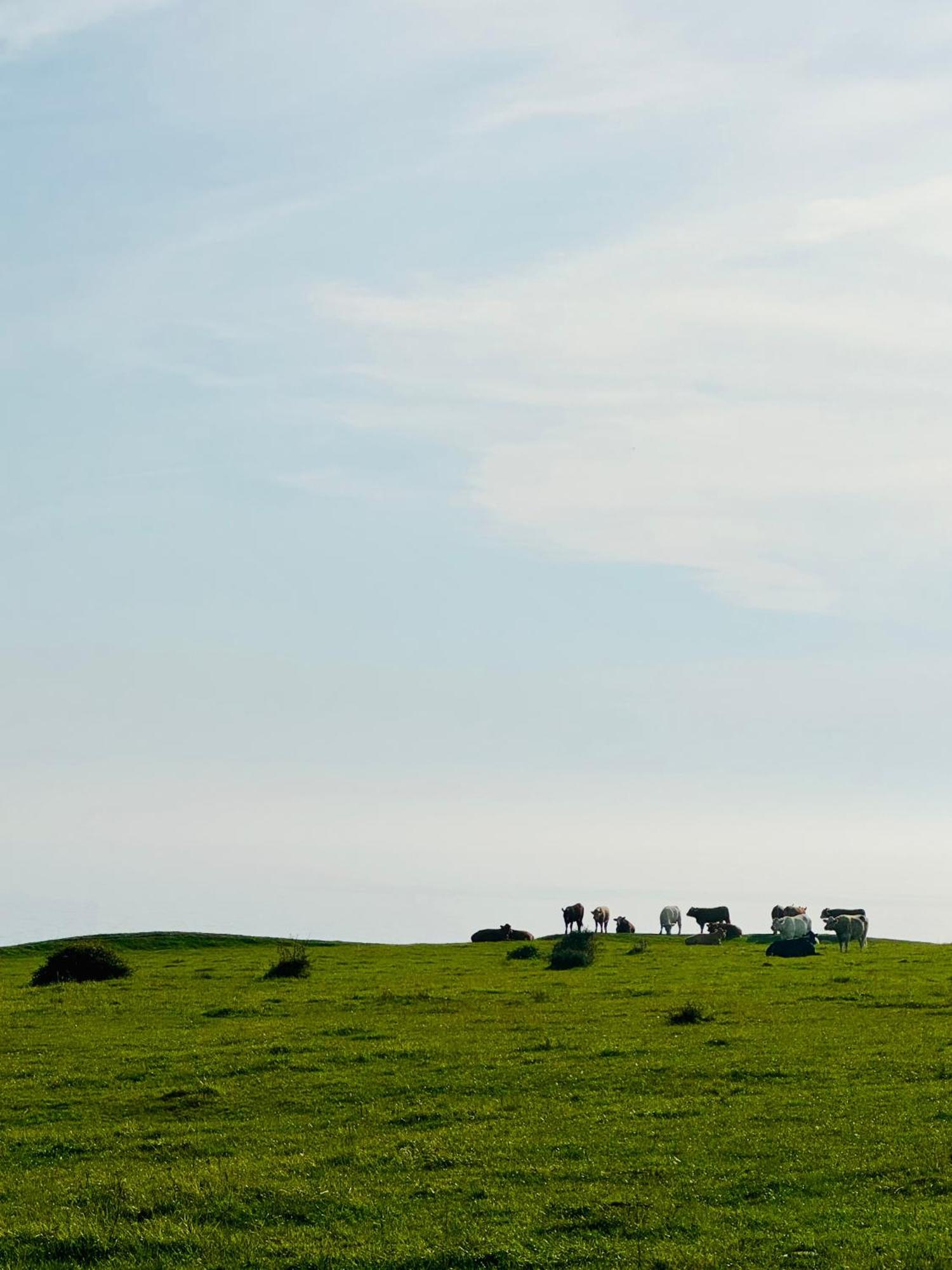 Apartmán Kaseberga Hideout Exteriér fotografie